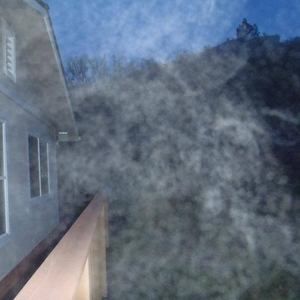 Meet your Posher, Shelly