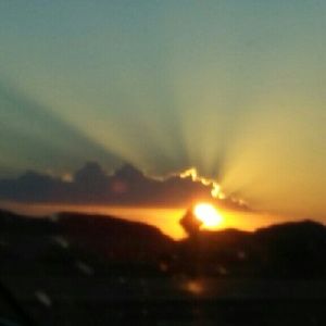 Meet your Posher, Sandy