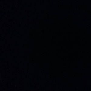 Meet your Posher, Lizza