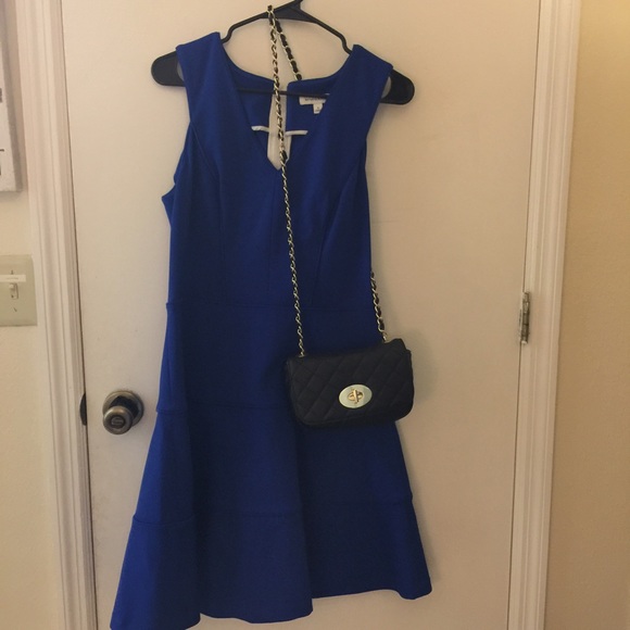 Banana Republic Cobalt Fit and Flare Dress