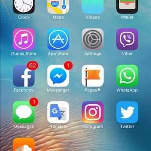 Meet your Posher, Elsa