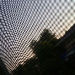 Meet your Posher, Isabela