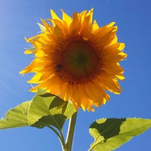 Meet your Posher, Gab