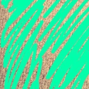 Meet your Posher, Jacqueline