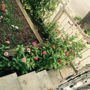 Meet your Posher, Jamillah