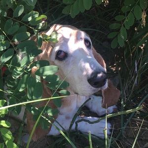 Meet your Posher, Joseph