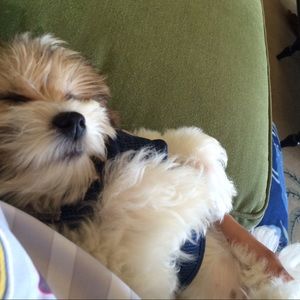 Meet your Posher, Kristine