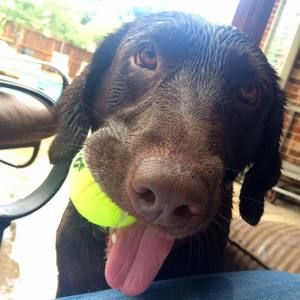 Meet your Posher, Leah