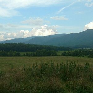 Meet your Posher, Connie