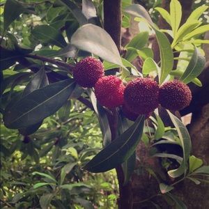 Meet your Posher, Vickie