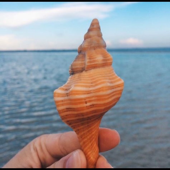 Meet your Posher, Carol - Picture 1 of 1