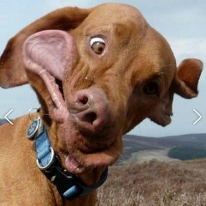 Meet your Posher, Aaron