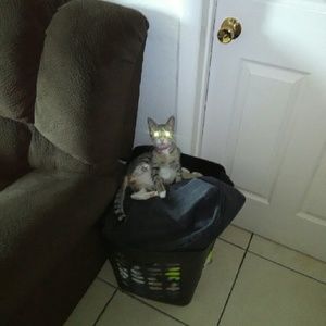 Meet your Posher, Dyiann