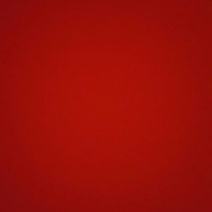 Meet your Posher, Julissa