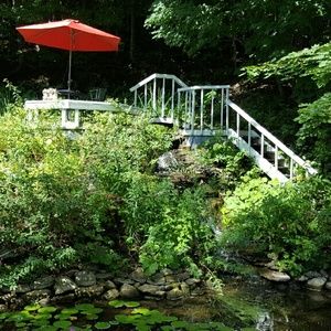 Meet your Posher, Dee