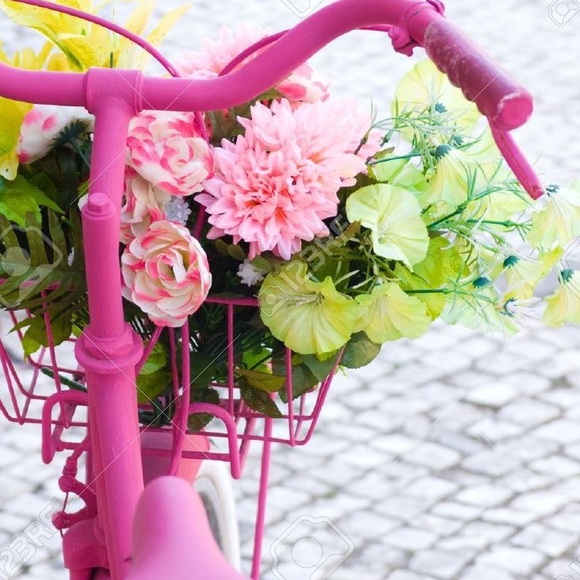 Meet your Posher, Rosy - Picture 1 of 1