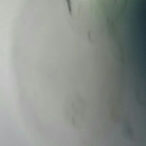 Meet your Posher, Shannelle