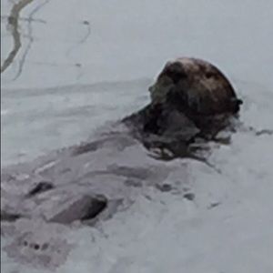 Meet your Posher, Jeannette