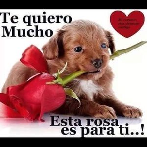 Meet your Posher, Ada