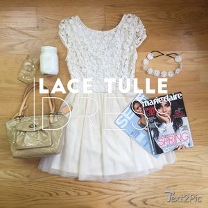 Forever21 Lace Tulle Dress