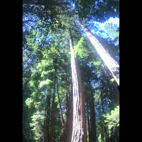 Meet your Posher, Jhesi - Picture 1 of 1