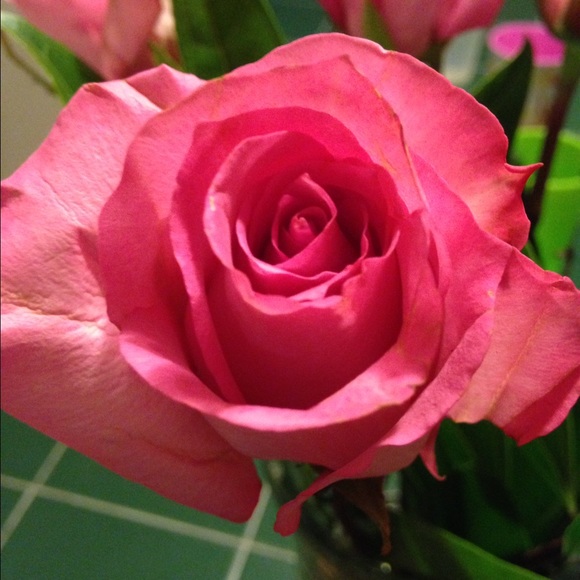 @ShopSmarterHere, no stress about prices - Picture 3 of 4