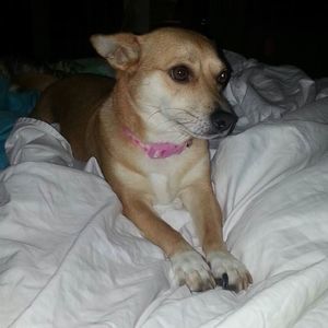 Meet your Posher, Le ann