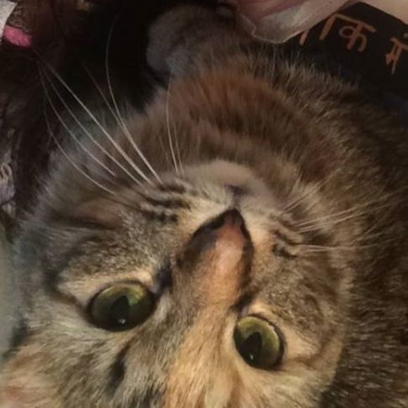 Meet your Posher, Amanda - Picture 1 of 1