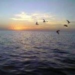 Meet your Posher, Jayne