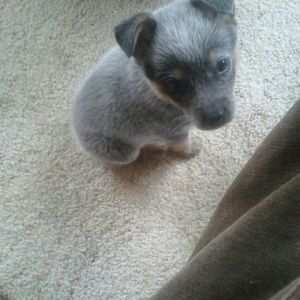 Meet your Posher, Sally