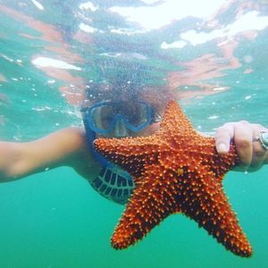 Meet your Posher, Raquel