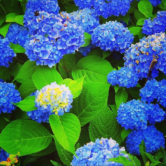 Connecticut Chic Closets ❤️ - Picture 6 of 7