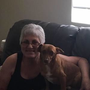 Meet your Posher, Elissa