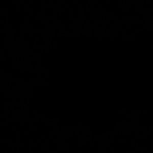 Meet your Posher, Jake