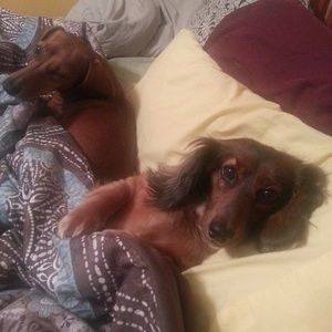 Meet your Posher, April