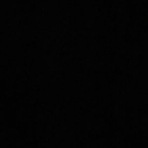 Meet your Posher, Desi