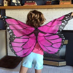 Butterfly wings