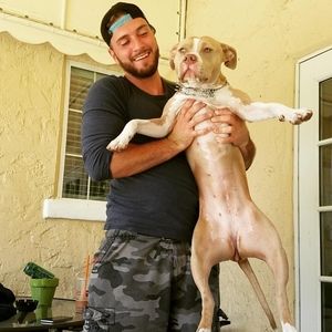 Meet your Posher, Donald