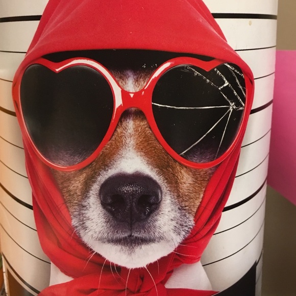 Meet your Posher, Veronica