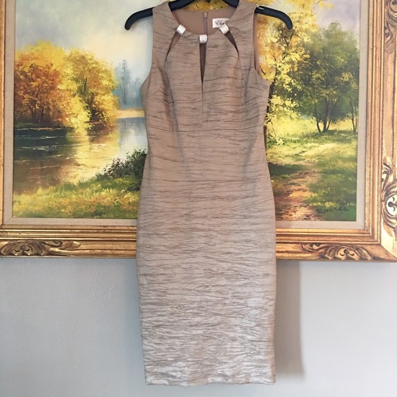 Elegant Dress 👑