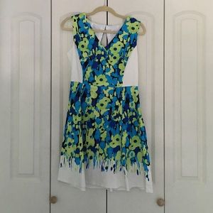 Mid Length print dress