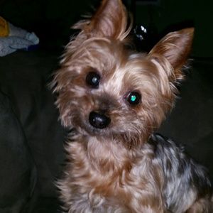 Meet your Posher, Caroline