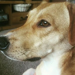 Meet your Posher, Tara