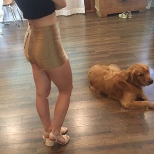 American apparel disco shorts