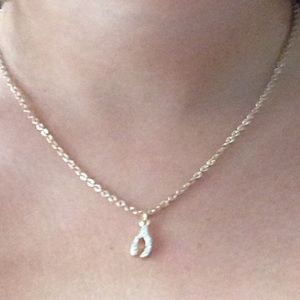 Wishbone gold plated necklace from express!