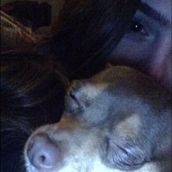 Meet your Posher, Sunny - Picture 4 of 4