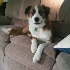 Meet your Posher, Jeanna