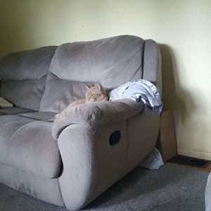 Meet your Posher, Peggy