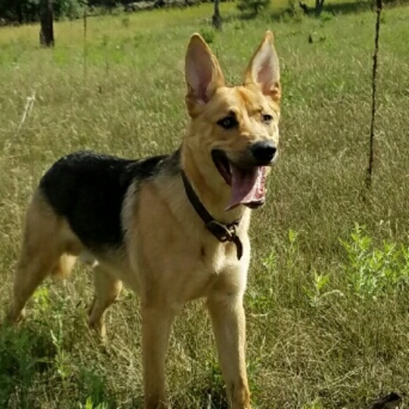 Meet your Posher, Tyler