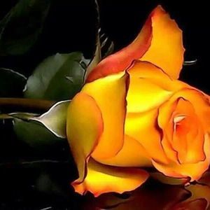 Meet your Posher, Jorge